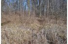 Property photo 13 - East Allen County - 55 Acre Land Auction